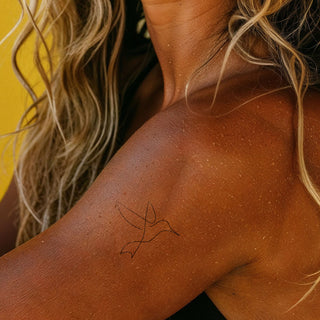 Tropical nectar bird