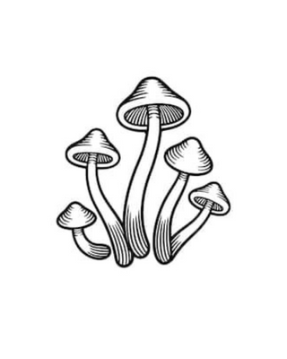 Shrooms