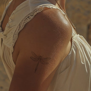 Dragonfly Elegance