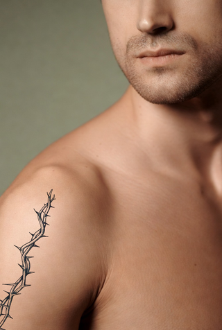 Tattoo Ark - 2 Big Barb Wire